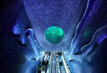 Webuild inaugura installazione immersiva “Costruire secondo bellezza”