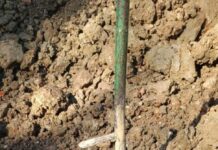 Firenze, ritrovato ordigno della Seconda Guerra Mondiale