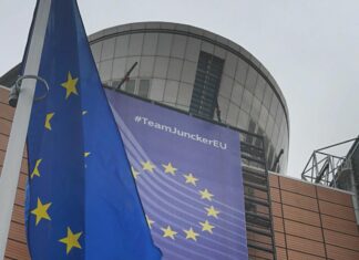 Mercosur, Confagricoltura: “Perplessità sull’accordo”