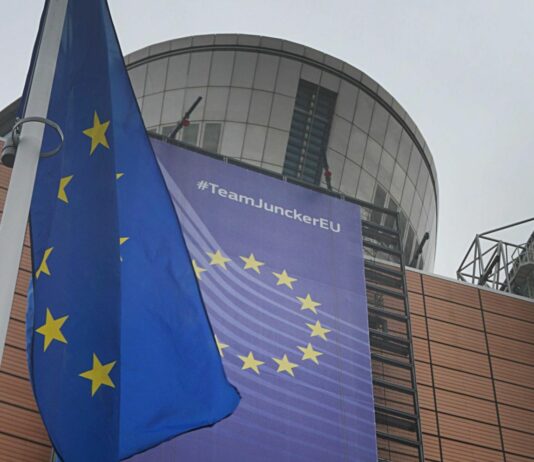 Mercosur, Confagricoltura: “Perplessità sull’accordo”