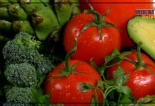 Alimentazione e salute, la dieta mediterranea è troppo restrittiva?