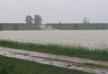 Alluvione, approvata la programmazione degli ultimi 15 milioni di donazioni in Emilia Romagna