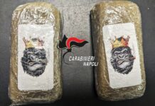 Controlli antidroga al porto di Ischia, arrestato 20enne