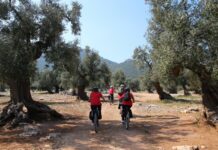 Turismo dell’olio EVO, arrivano il rapporto annuale e il sito ufficiale