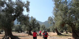 Turismo dell’olio EVO, arrivano il rapporto annuale e il sito ufficiale