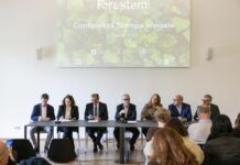 Milano, “Forestami” a quota 600mila piante messe a dimora