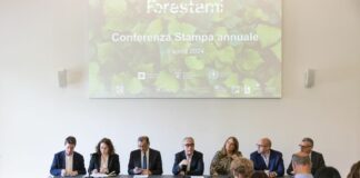 Milano, “Forestami” a quota 600mila piante messe a dimora