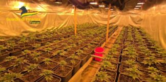 Scoperta a Firenze una “fabbrica della droga”, un arrestato