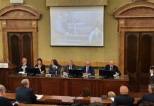 Arriva Nina, l’Intelligenza Artificiale contro le fake-mozzarelle