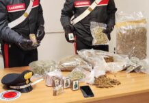 Cinque chili di droga pronta per lo spaccio, 47enne arrestato nel Napoletano