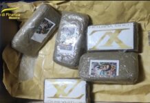 Messina, sequestrati 1,5 kg di droga in transito sullo Stretto