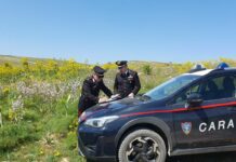 Parco Alta Murgia, scoperta”Truffa dei pascoli” all’Ue per 400 mila euro