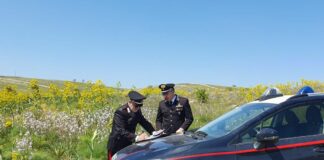 Parco Alta Murgia, scoperta”Truffa dei pascoli” all’Ue per 400 mila euro