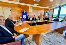 Ok dalla Giunta Calabria al Piano contro gli incendi boschivi 2024