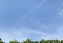 Vinitaly, il turismo del vino coinvolge 13,4 milioni di italiani