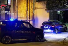 Operazione antidroga nella piana di Gioia Tauro, arresti e sequestri