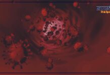 Non solo Covid, malattie infettive sfida in un mondo globalizzato