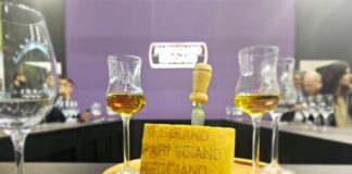 Al Vinitaly il matrimonio tra Parmigiano Reggiano e Grappa Trentina