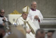 Papa Francesco “Seminare quotidianamente semi di pace perchè germoglino”