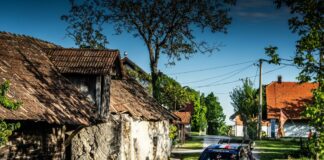 Testoni “In Croazia gomme ok in tutte le situazioni”