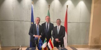 Italy and Egypt committed for the development of space sector in Africa
