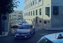 Traffico di droga in Basilicata, 24 misure cautelari