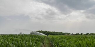 Agricoltura, dalla Regione Fvg pacchetto di norme che semplifica e tutela