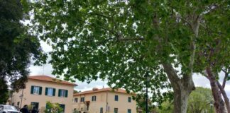 Città Metropolitana di Roma al City Nature Challenge