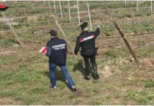 Ospiti Cas sfruttati nei campi, 10 arresti per Caporalato in Toscana