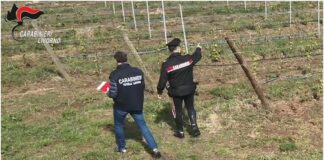 Ospiti Cas sfruttati nei campi, 10 arresti per Caporalato in Toscana