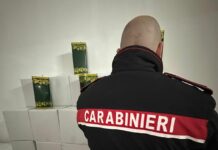 Olio d’oliva contraffatto, maxi sequestro e una denuncia nel Napoletano