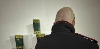 Olio d’oliva contraffatto, maxi sequestro e una denuncia nel Napoletano