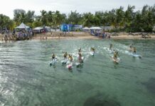 Tavola Sup pecialità del surf (Fissw), concessa promozione a Fick