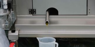 Sol/Vinitaly, l’olio abruzzese conquista i buyer internazionali