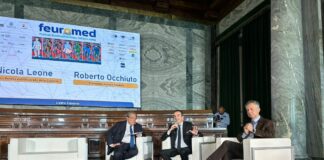 Occhiuto “Sud ricco di acqua e dighe, metterle a sistema”