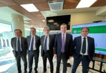 Fondi Pnrr, Occhiuto “Per la sanità in Calabria 29 milioni in più”