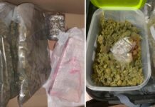 Droga, Polizia Malta avvia processo di estradizione contro napoletano