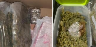 Droga, Polizia Malta avvia processo di estradizione contro napoletano