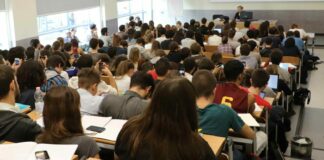 استبيان: الشباب يرون هزيمة المافيا بعيدة المنال