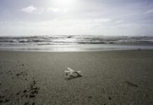 Da Giunta Rocca 3 milioni per la valorizzazione del litorale laziale