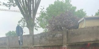 Milano. Lega “Minacce a Salvini e Sardone dai centri sociali”