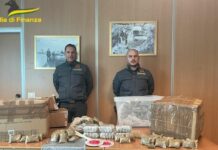 Scoperta centrale di spaccio a Bracciano, sequestrati 90 kg di Hashish