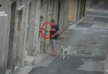 Rete di spacciatori di droga disarticolata a Ragusa, 9 misure cautelari