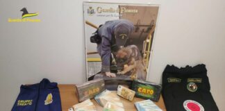 38 إجراء احترازيا جراء عملية لمكافحة المخدرات في ترينتينو