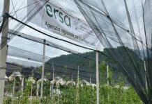 Agricoltura, in Friuli inaugurato campo catalogo fruttiferi autoctoni