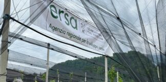 Agricoltura, in Friuli inaugurato campo catalogo fruttiferi autoctoni