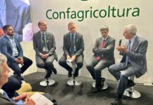 Filiera del pomodoro da industria, il nuovo progetto di Mediterranea