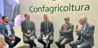 Filiera del pomodoro da industria, il nuovo progetto di Mediterranea