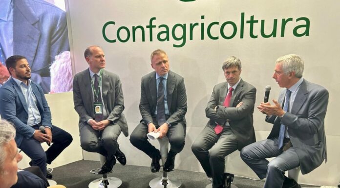 Filiera del pomodoro da industria, il nuovo progetto di Mediterranea