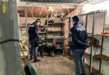 Blitz antidroga a Tor Bella Monaca, perquisizioni e bonifica in piazza di spaccio